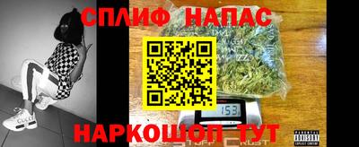 spice Дубна