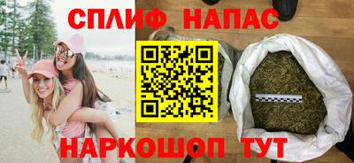 spice Дубна