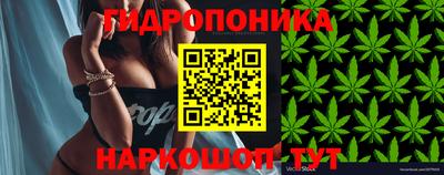 spice Дубна