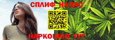 spice Дубна