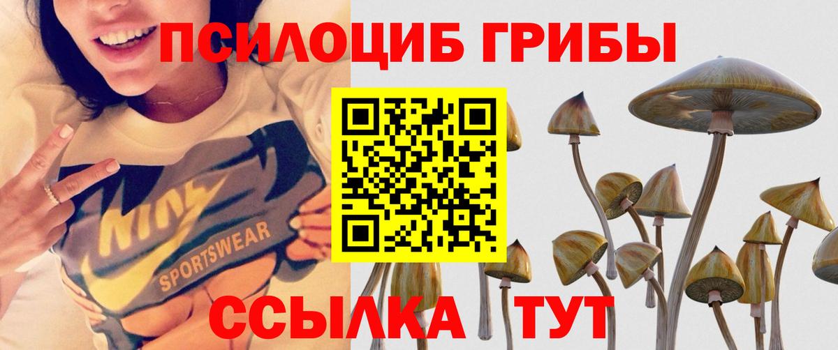 Галлюциногенные грибы Psilocybe  Вход с VPN  Красноуфимск  Галлюциногенные грибы мицелий 
